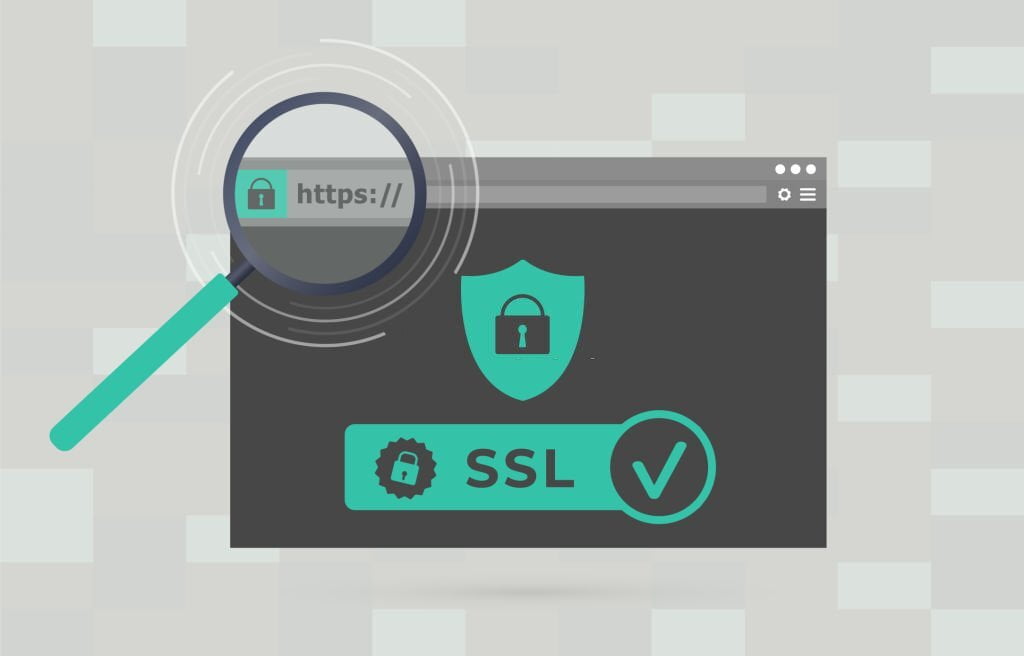 SSL Certificates and Hosting: Ensuring Secure Connections